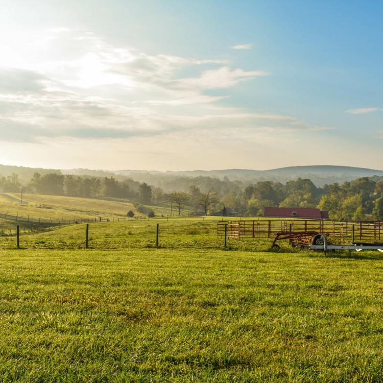  Powell_Pasture